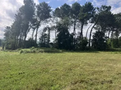 Image du modèle de maison terrain castejaloux