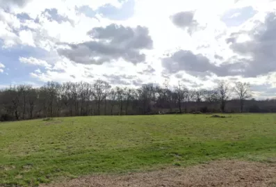 Image du modèle de maison Terrain...