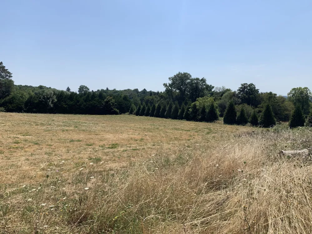 Image du terrain Terrain à bâtir de 3894 m² à SAINT-GERMAIN-LES-VERGNES (19)
