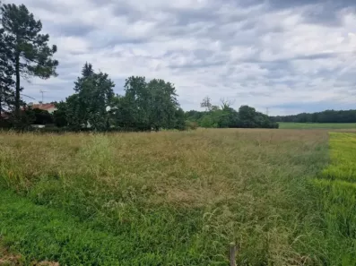 Image du modèle de maison St Ciers du taillon environ 1200 m² (Mme CHERAT)