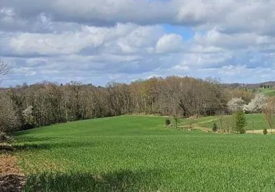 Image du modèle de maison Terrain Vignols