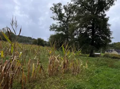 Image du modèle de maison Terrain Ussac 4350 m²