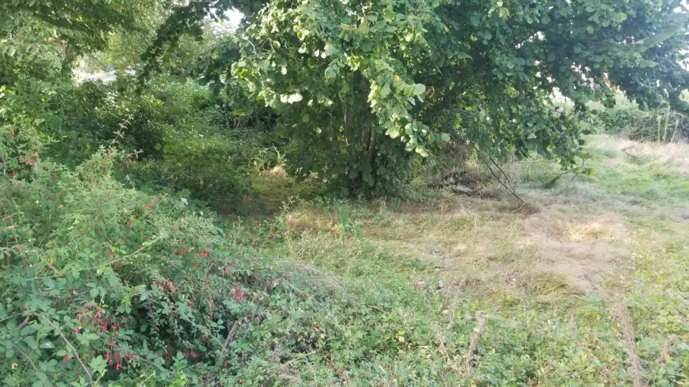 Image du modèle de maison génissac