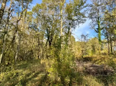 Image du modèle de maison terrain Queyssac 34 000