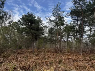 Image du modèle de maison chancelade 67 000 Euro