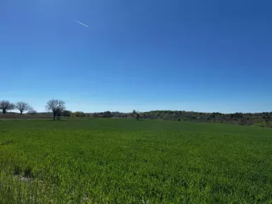 Image du modèle de maison cubjac terrain