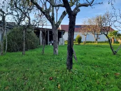 Image du modèle de maison 1000035448