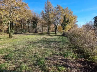 Image du modèle de maison 1000035361
