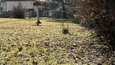 Image du modèle de maison Capture d’écran 2024-12-11 à 21.42.23