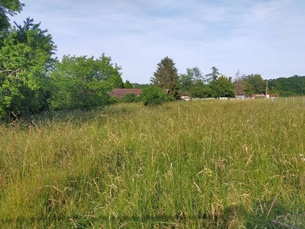 Image du terrain Terrain à bâtir de 1000 m² à VIGNOLLES (16)