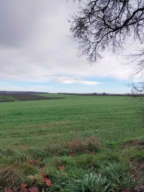 Image du modèle de maison Fleurac