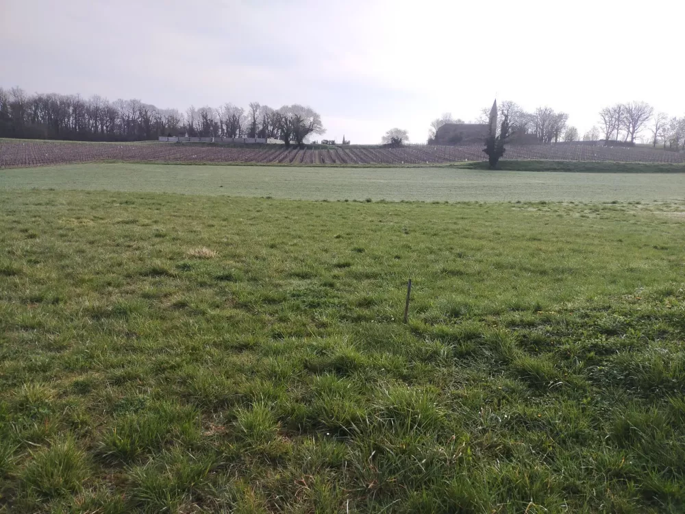 Image du terrain Terrain à bâtir de 1300 m² à BRIE-SOUS-ARCHIAC (17)