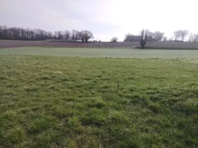 Image du modèle de maison Terrain Montchaude