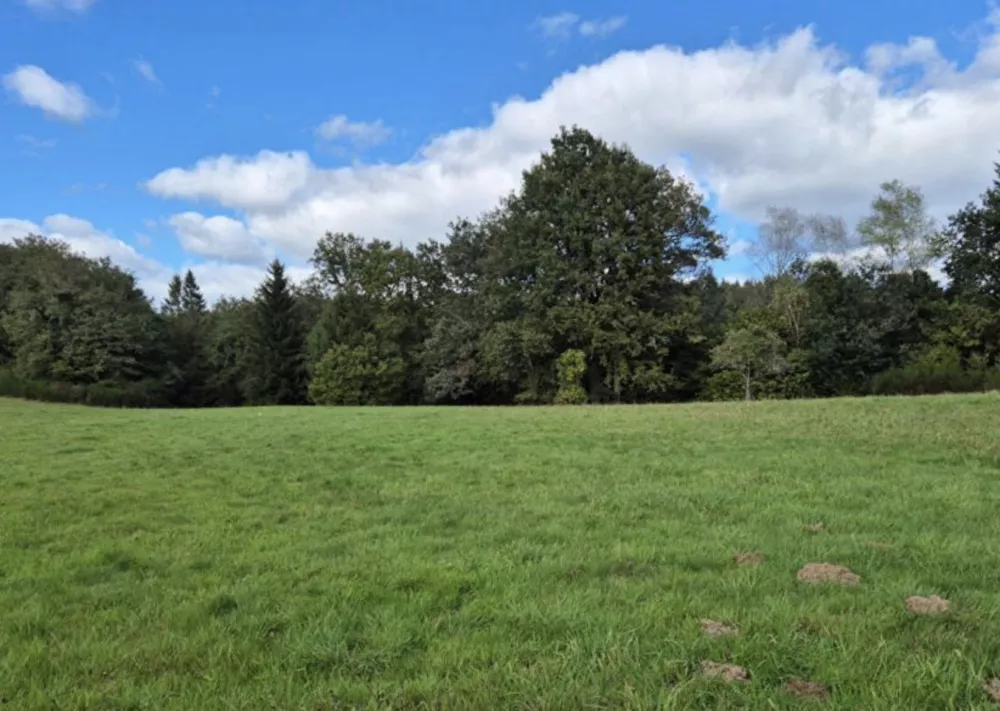 Image du modèle de maison Capture d’écran 2025-01-06 à 22.09.34