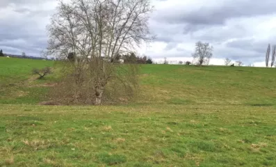 Image du modèle de maison Capture d’écran 2025-01-06 à 22.29.27