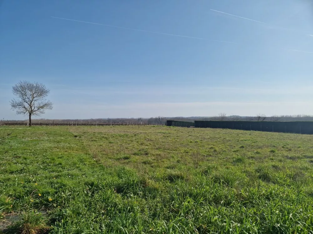 Image du modèle de maison st fort sur gironde (Mr ANTRAS)