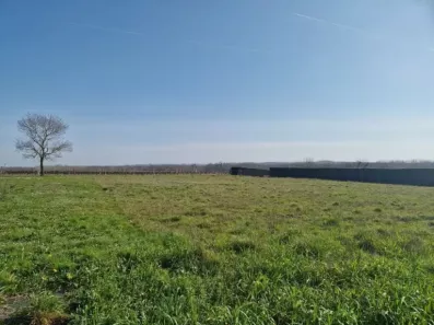 Image du modèle de maison st fort sur gironde (Mr ANTRAS)