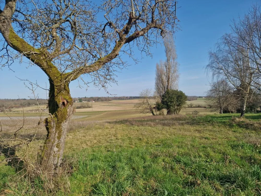 Image du terrain Terrain à bâtir de 1352 m² à SOUBRAN (17)