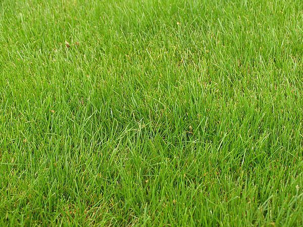 Image du modèle de maison Terrain_6_Groupe HDV
