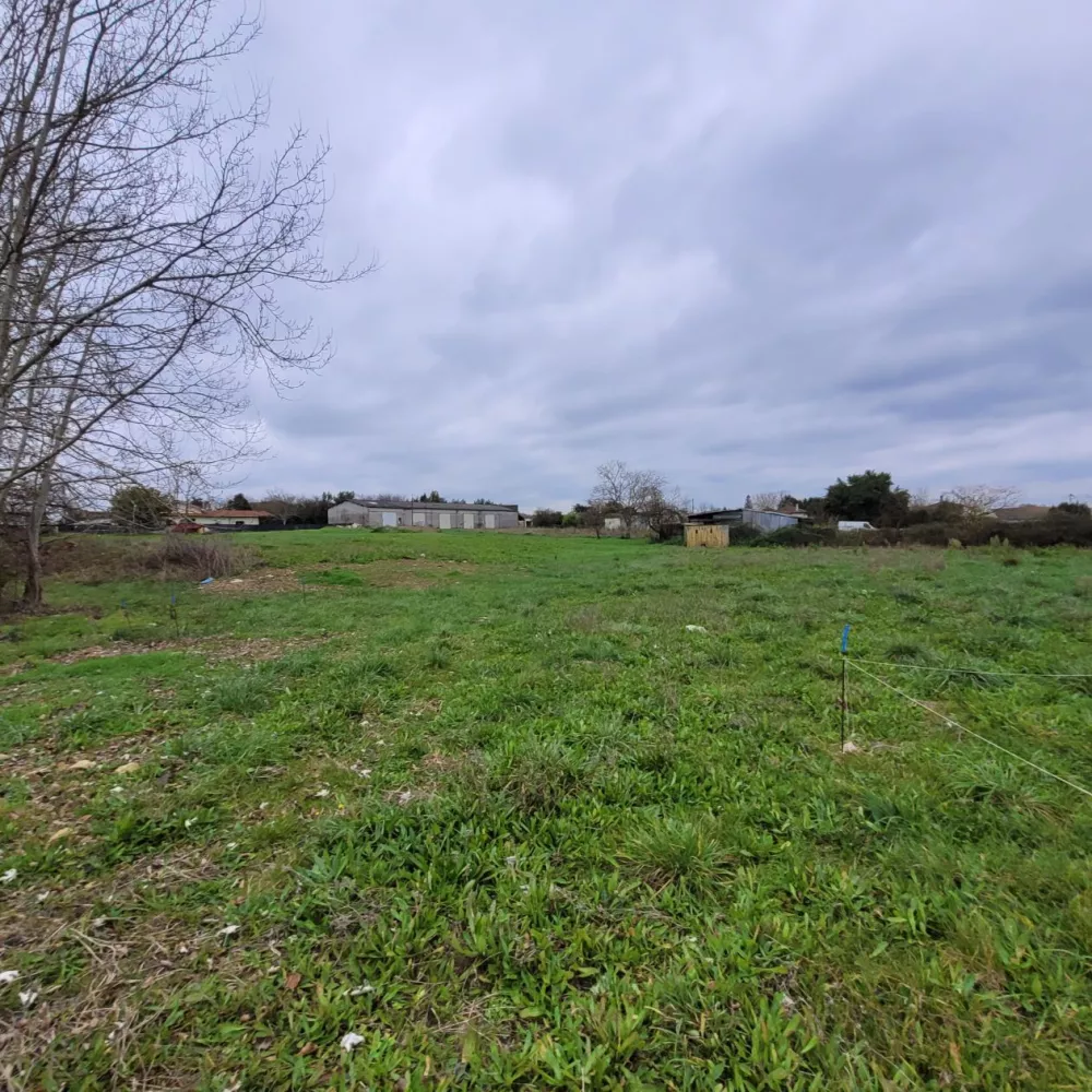 Image du modèle de maison 20241210_144057
