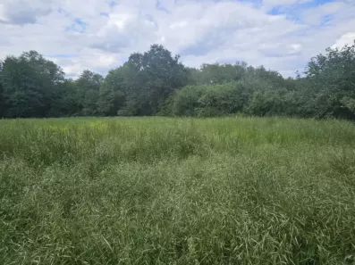 Image du modèle de maison Terrain Lignan de Bazas 1