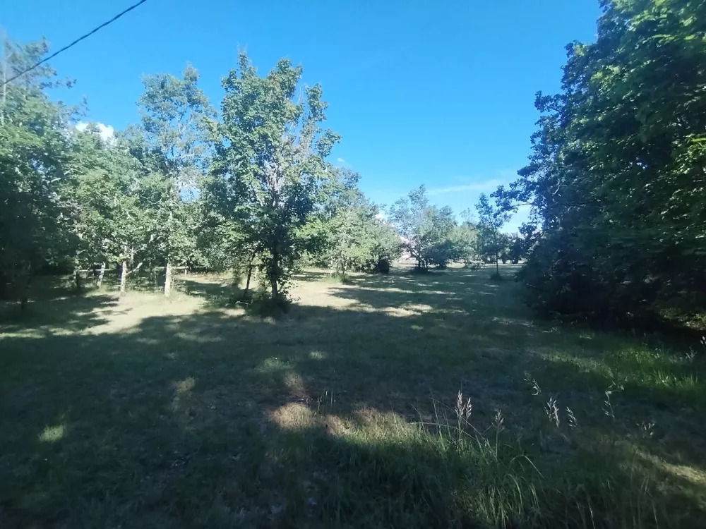 Image du modèle de maison 3989m2premium1