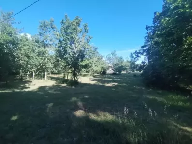 Image du modèle de maison 3989m2premium1