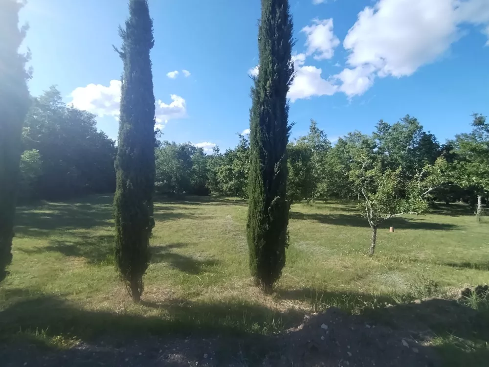 Image du modèle de maison 3989m2premium2