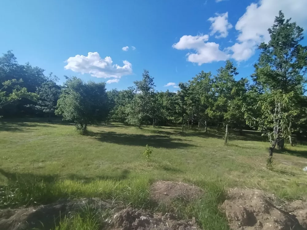 Image du modèle de maison 3989m2premium21