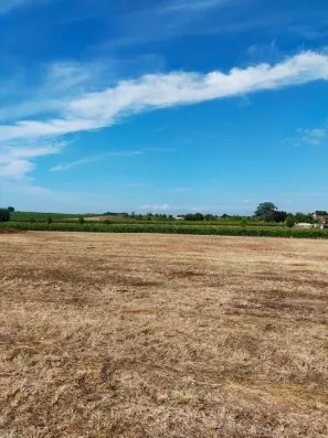 Image du modèle de maison louzac3