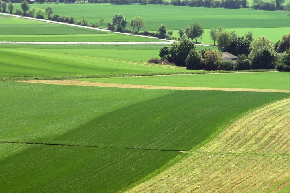 Image du terrain Terrain à bâtir de 932 m² à BOURG (33)