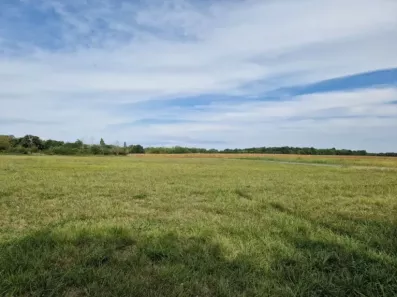 Image du modèle de maison Plassac (David 1300m²)