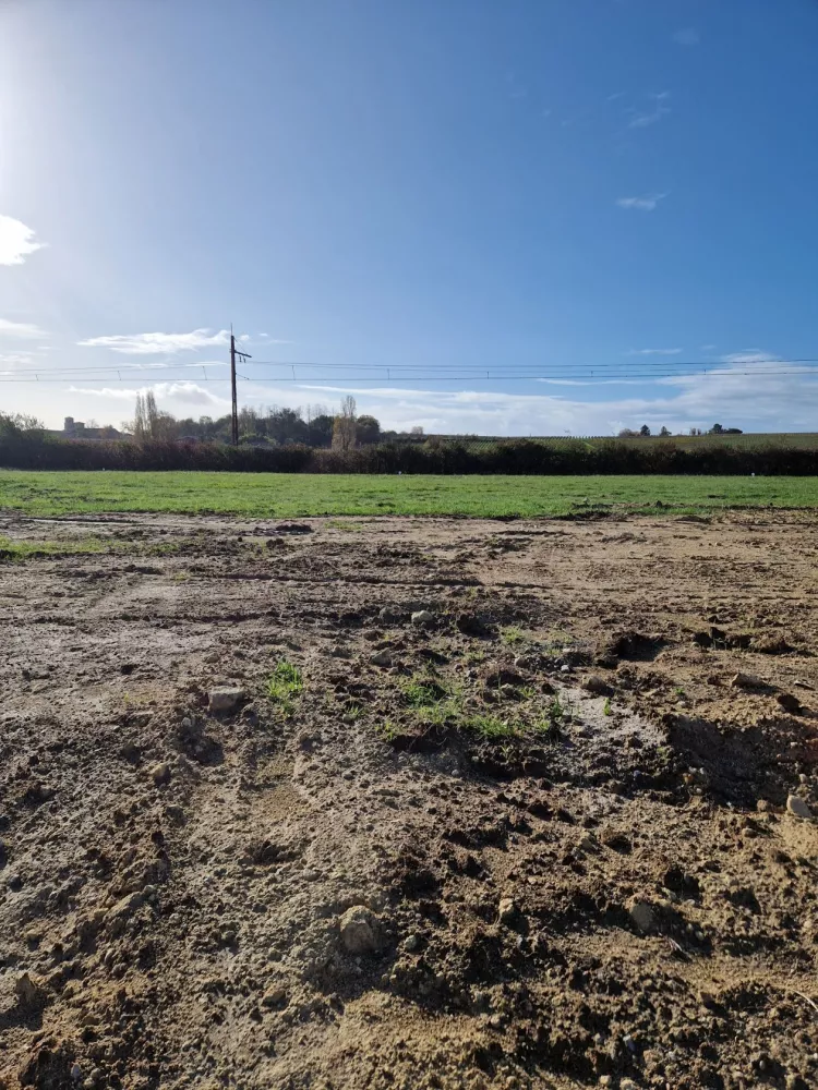 Image du modèle de maison Terrain vertheuil 800