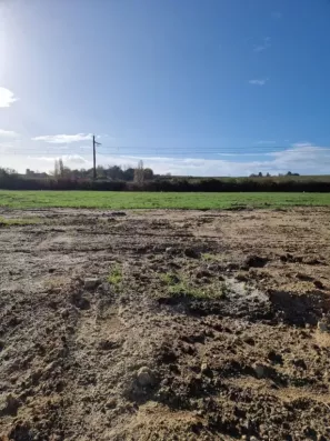 Image du modèle de maison Terrain vertheuil 800