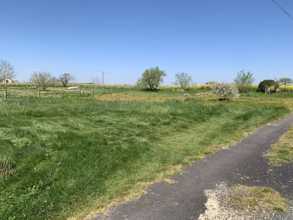 Image du terrain Terrain à bâtir de 300 m2 au prix de 45000 € à NIEULLE-SUR-SEUDRE (17)