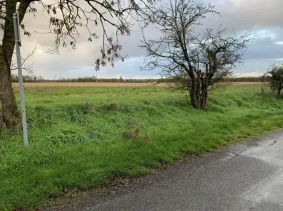 Image du modèle de maison loireles marais