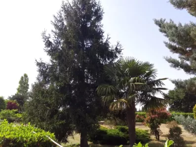 Image du modèle de maison 20220614_164243