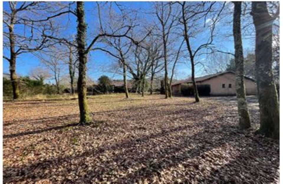 Image du modèle de maison 2213469-10481annonce1202503307wJmg.jpeg