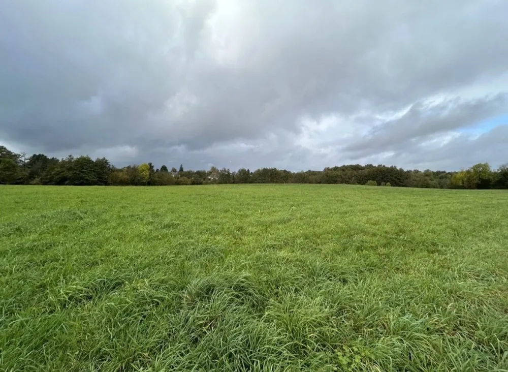 Image du modèle de maison IMG_3101