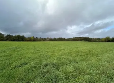 Image du modèle de maison IMG_3101