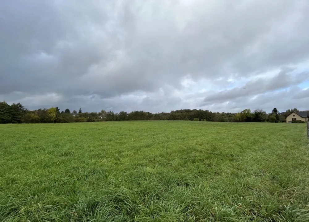 Image du modèle de maison IMG_3102