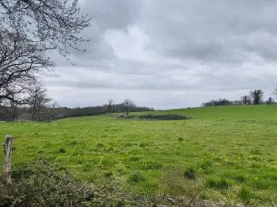 Image du modèle de maison IMG_7638