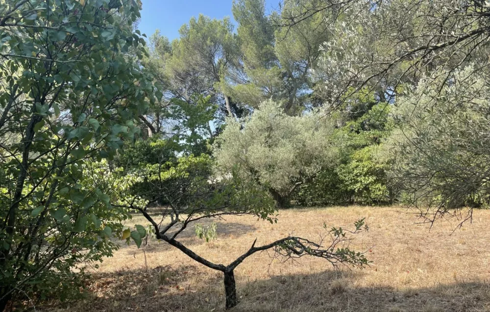 Image du terrain Terrain à bâtir de 304 m² à NIMES (30)