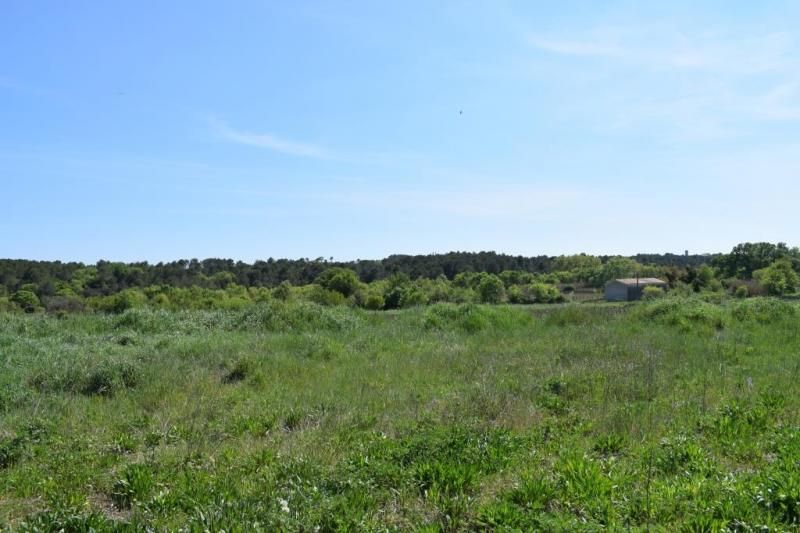 Image du terrain Terrain à bâtir de 412 m² à GALARGUES (34)
