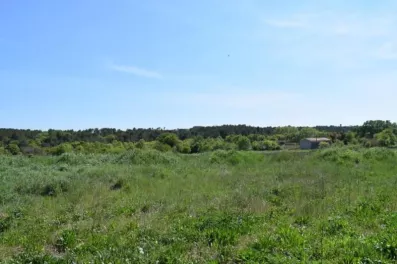 Image du modèle de maison Galargues
