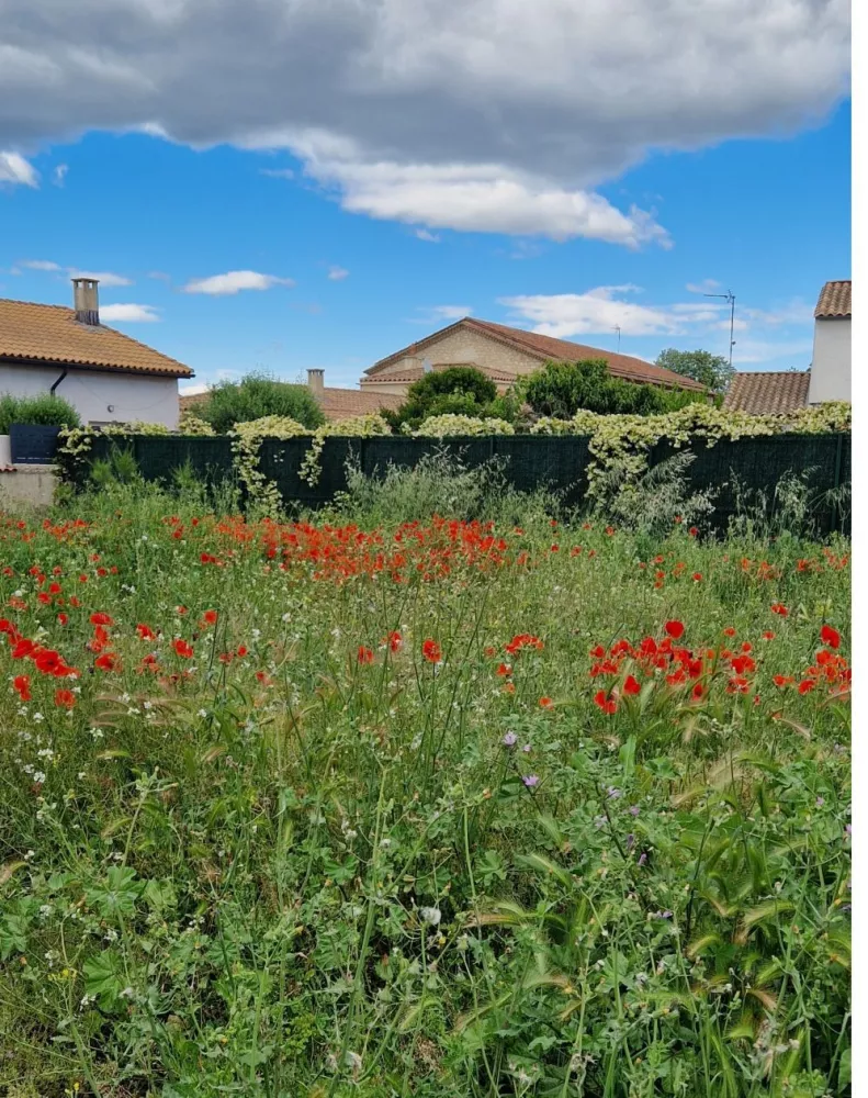 Image du modèle de maison Terrain n1