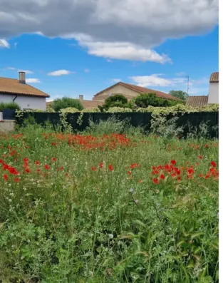 Image du modèle de maison Terrain n1