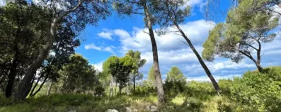 Image du modèle de maison GUZARGUES-Les-Mejeans-3