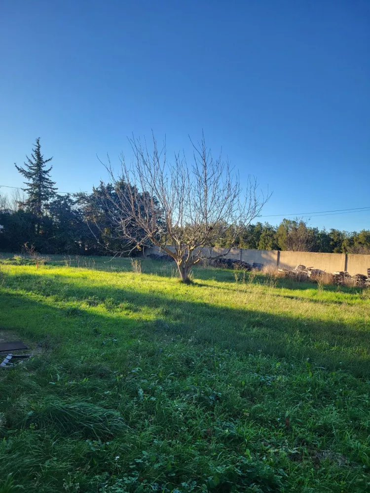 Image du modèle de maison 20241127_153843