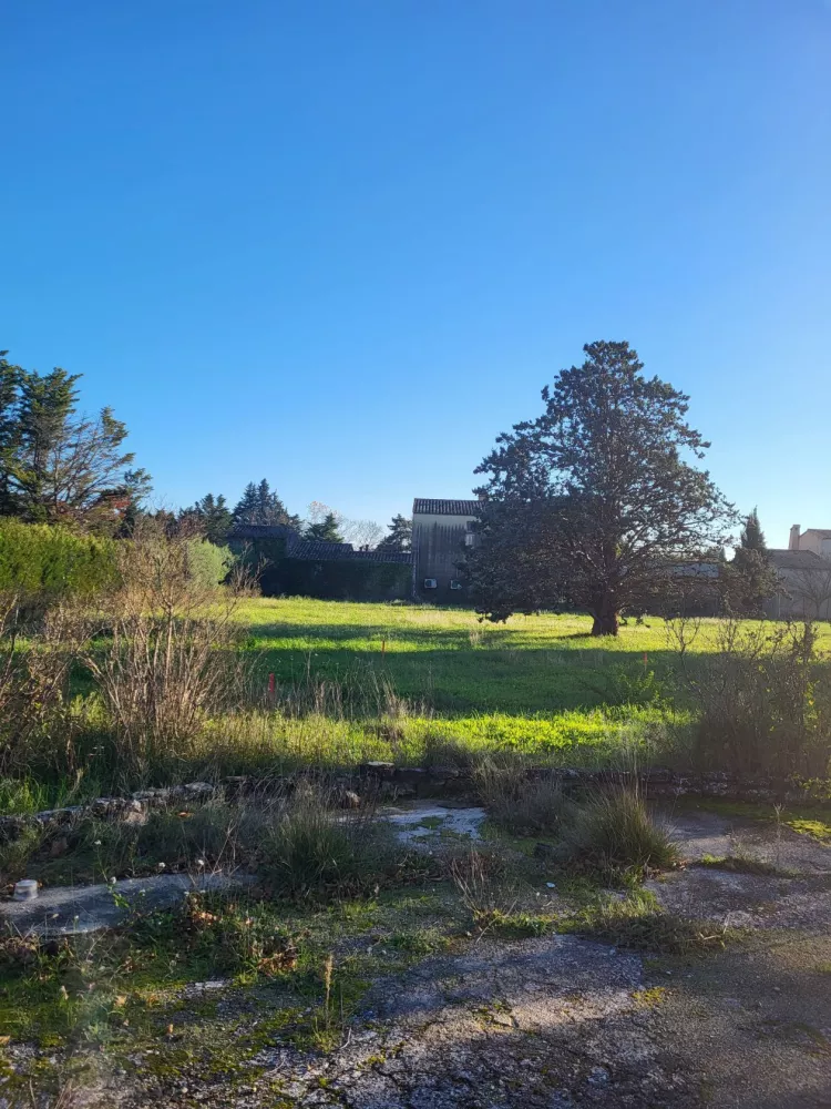 Image du modèle de maison 20241127_153822